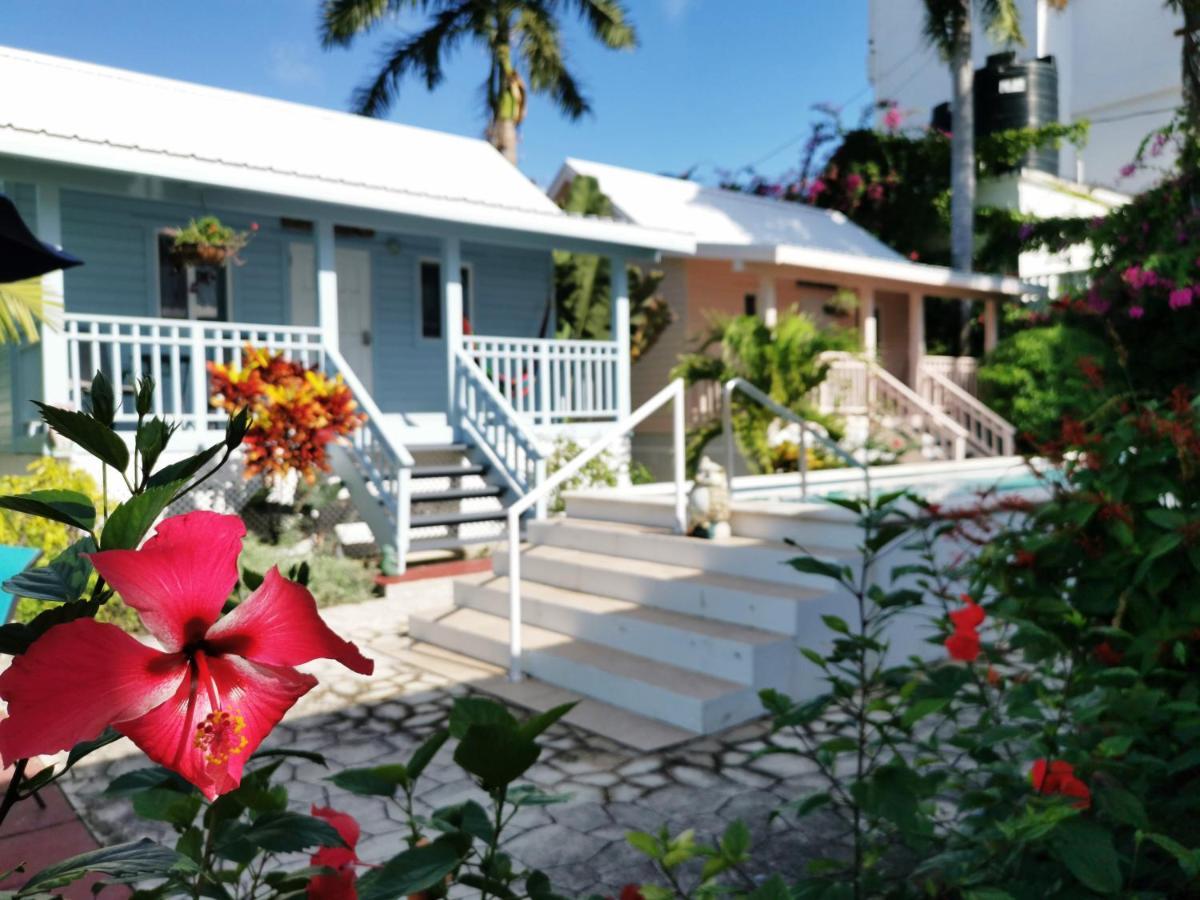 Harbour View Boutique Hotel & Yoga Retreat Ciudad de Belice Exterior foto