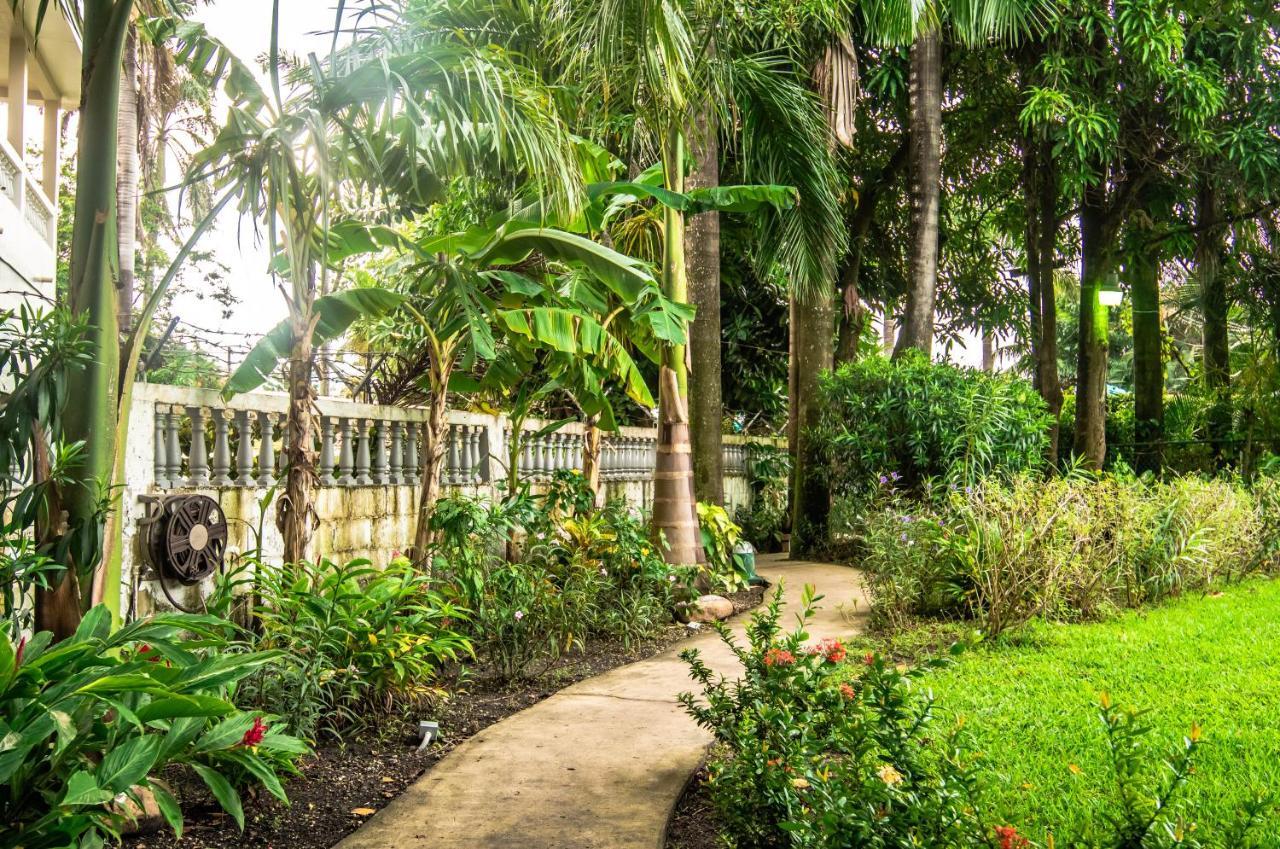 Harbour View Boutique Hotel & Yoga Retreat Ciudad de Belice Exterior foto