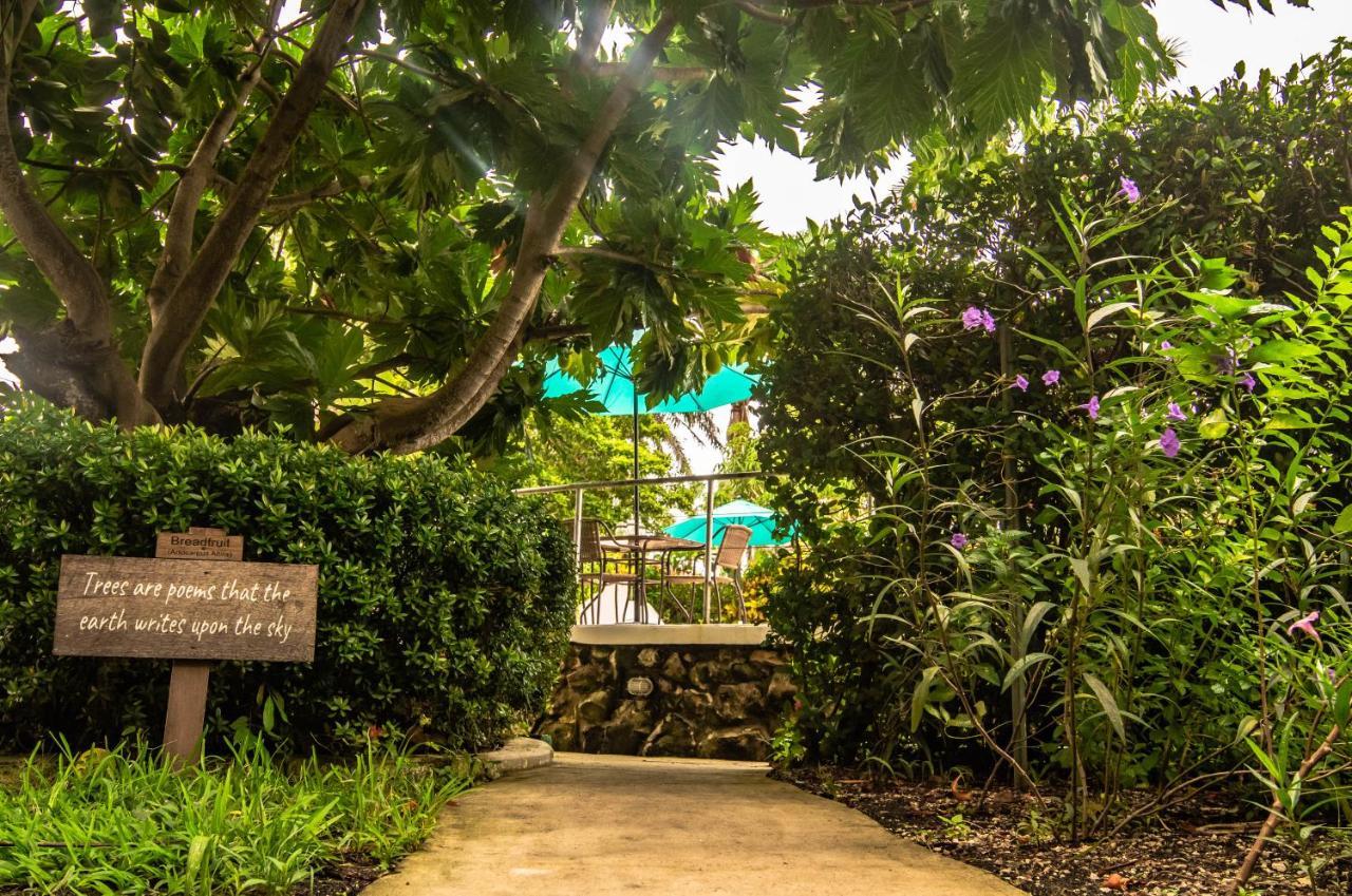 Harbour View Boutique Hotel & Yoga Retreat Ciudad de Belice Exterior foto